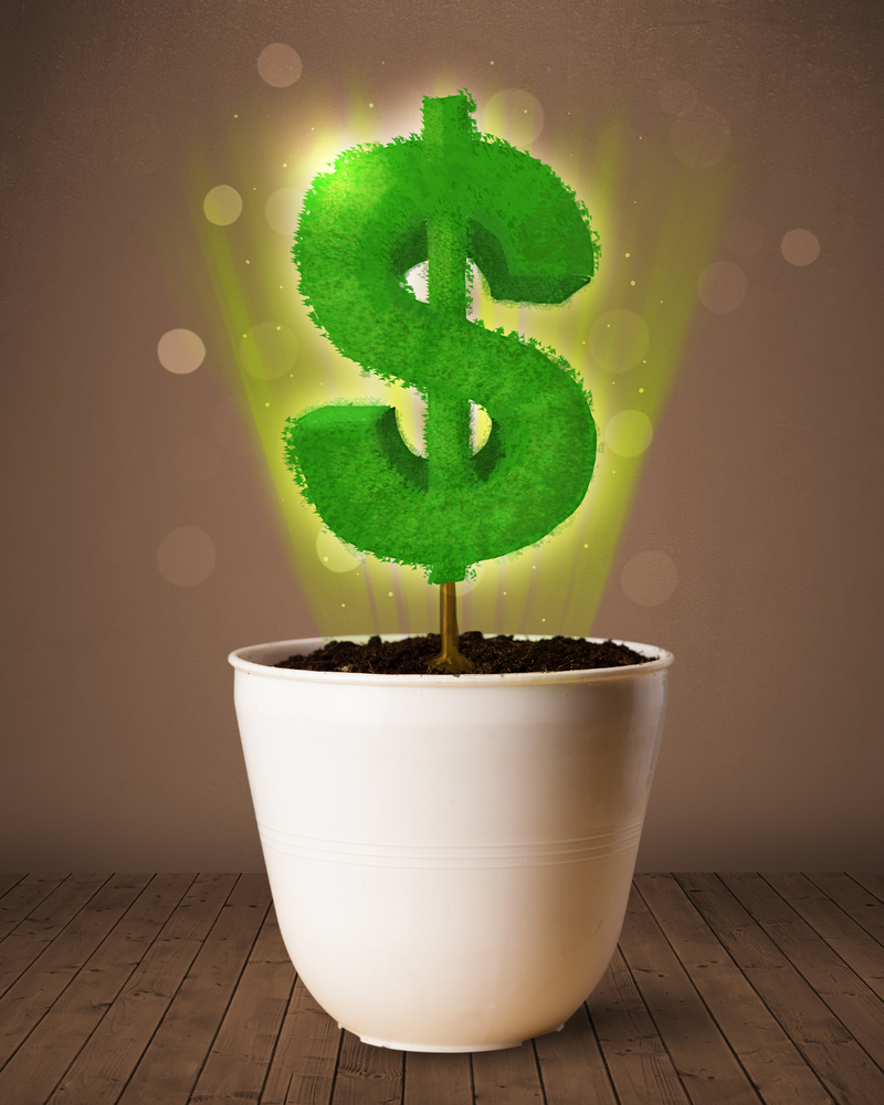 Shining dollar sign tree coming out of flowerpot